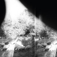 Godspeed You! Black Emperor - Asunder, Sweet And Other Distress ( i gruppen Minishops / Godspeed You hos Bengans Skivbutik AB (1263302)