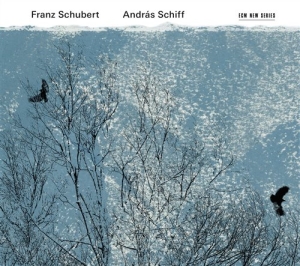 Schubert Franz - Sonatas i gruppen CD hos Bengans Skivbutik AB (1266413)