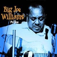 Williams Big Joe - Po? Joe i gruppen CD hos Bengans Skivbutik AB (1266932)