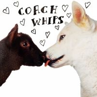 Coachwhips - Bangers Vs Fuckers i gruppen VINYL hos Bengans Skivbutik AB (1270753)