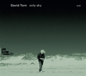 Torn David - Only Sky i gruppen CD hos Bengans Skivbutik AB (1278737)