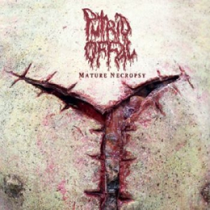 Putrid Offal - Mature Necropsy (2Cd) i gruppen CD hos Bengans Skivbutik AB (1288023)