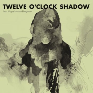 Flako - 12 O'clock Shadow i gruppen VINYL hos Bengans Skivbutik AB (1288674)