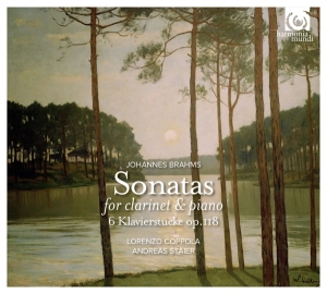 Brahms Johannes - Sonatas For Clarinet & Piano i gruppen CD hos Bengans Skivbutik AB (1309902)