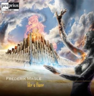 Frederik Magle - Like A Flame i gruppen CD hos Bengans Skivbutik AB (1312407)