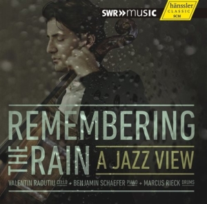 Various Composers - Remembering The Rain - A Jazz View i gruppen CD hos Bengans Skivbutik AB (1313571)