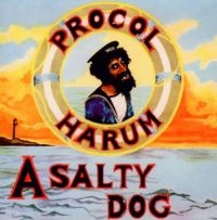 Procol Harum - A Salty Dog: 2Cd Deluxe Remastered i gruppen CD hos Bengans Skivbutik AB (1401225)