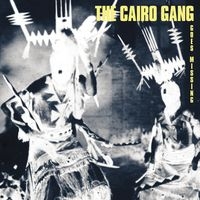 Cairo Gang - Goes Missing i gruppen VINYL hos Bengans Skivbutik AB (1475101)