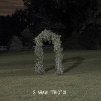 S. Araw Trio Xi - Gazebo Effect i gruppen VINYL hos Bengans Skivbutik AB (1475402)