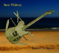 Walwyn Steve - Instinct To Survive i gruppen CD hos Bengans Skivbutik AB (1484019)