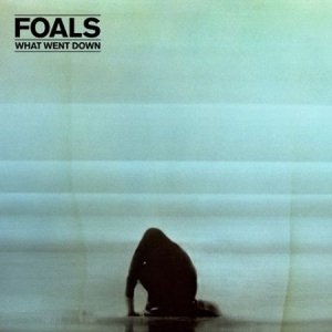 Foals - What Went Down i gruppen VINYL hos Bengans Skivbutik AB (1485885)