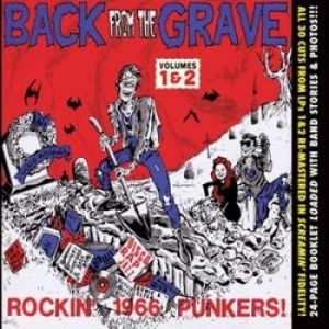 V/A - Back From The Grave Vol 1 & 2 - Vol 1 & 2 - Back From The Grave i gruppen CD hos Bengans Skivbutik AB (1498227)