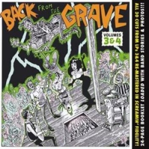 V/A - Back From The Grave Vol 3 & 4 - Vol 3 & 4 - Back From The Grave i gruppen CD hos Bengans Skivbutik AB (1498229)