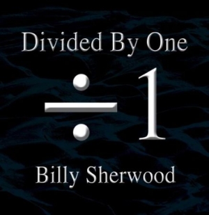 Sherwood Billy - Divided By One i gruppen CD hos Bengans Skivbutik AB (1521261)