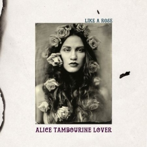 Alice Tambourine Lover - Like A Rose i gruppen CD hos Bengans Skivbutik AB (1521369)