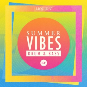 Various Artists - Summer Vibes: Drum & Bass - Mixed B i gruppen CD hos Bengans Skivbutik AB (1525657)