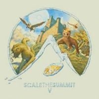 Scale The Summit - V i gruppen VINYL hos Bengans Skivbutik AB (1528521)