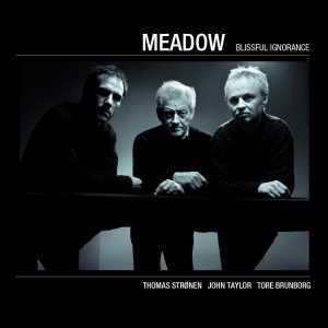 Meadow - Blissful Ignorance i gruppen CD hos Bengans Skivbutik AB (1532958)