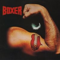 Boxer - Absolutely i gruppen CD hos Bengans Skivbutik AB (1539797)