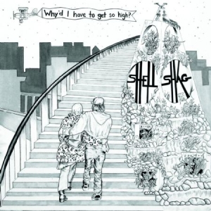 Shellshag - Why'd I Have To Get So High? i gruppen VINYL hos Bengans Skivbutik AB (1541534)