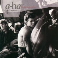 A-HA - HUNTING HIGH AND LOW i gruppen Minishops / A-ha hos Bengans Skivbutik AB (1552785)