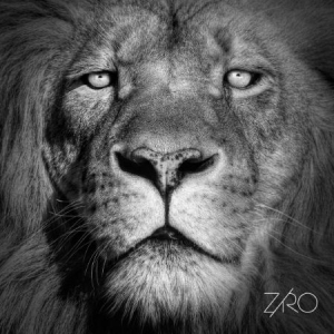 Ziro - Lionheart Ep i gruppen VINYL hos Bengans Skivbutik AB (1702304)