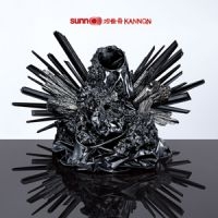 Sunn O))) - Kannon i gruppen CD hos Bengans Skivbutik AB (1705967)