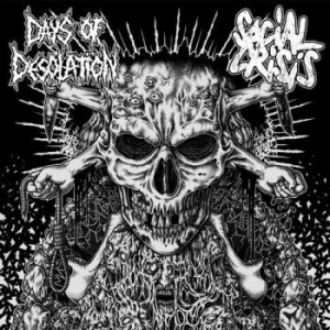 Social Crisis / Days Of Desolation - Split i gruppen VINYL hos Bengans Skivbutik AB (1712745)