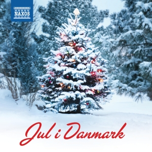 Various - Jul I Danmark i gruppen CD hos Bengans Skivbutik AB (1713014)