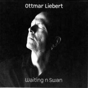 Liebert Ottmar - Waiting N Swan i gruppen CD hos Bengans Skivbutik AB (1713232)