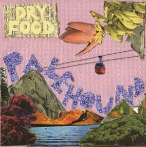 Palehound - Dry Food i gruppen VINYL hos Bengans Skivbutik AB (1729718)