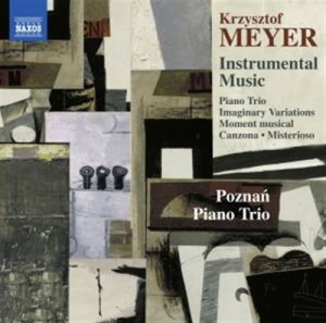 Meyer Krzysztof - Instrumental Music i gruppen CD hos Bengans Skivbutik AB (1735007)