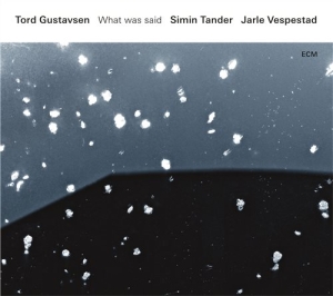 Tord Gustavsensimin Tander Jarle - What Was Said i gruppen VI TIPSER / Klassiska lablar / ECM Records hos Bengans Skivbutik AB (1737257)