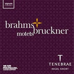 Brahms / Bruckner - Motets i gruppen CD hos Bengans Skivbutik AB (1740164)