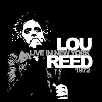 Reed  Lou - Live In New York 1972 i gruppen VI TIPSER / Julegavetips Vinyl hos Bengans Skivbutik AB (1793750)