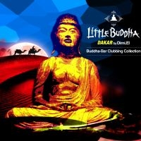 Blandade Artister - Little Buddha V i gruppen CD hos Bengans Skivbutik AB (1795873)