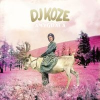 Dj Koze - Amygdala i gruppen CD hos Bengans Skivbutik AB (1796923)