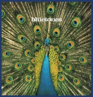 Bluetones - Expecting To Fly - 20Th Ann.Edition i gruppen VINYL hos Bengans Skivbutik AB (1798114)