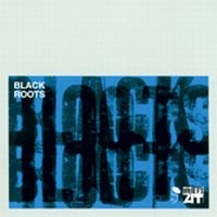 Various Artists - Black Roots i gruppen CD hos Bengans Skivbutik AB (1810455)