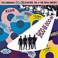 Various Artists - Shoo-Be-Doo-Be - Dig Masters Volume i gruppen CD hos Bengans Skivbutik AB (1810832)