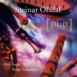 Ofsdal Steinar - Pi:P i gruppen CD hos Bengans Skivbutik AB (1811958)