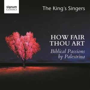 Palestrina Giovanni Pierluigi Da - How Fair Thou Art i gruppen VI TIPSER / Julegavetips CD hos Bengans Skivbutik AB (1847540)