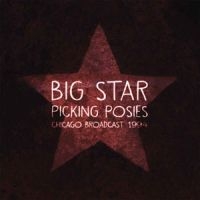 Big Star - Picking Posies i gruppen VINYL hos Bengans Skivbutik AB (1847673)