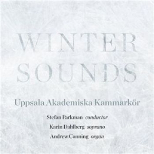 Various Artists - Winter Sounds i gruppen CD hos Bengans Skivbutik AB (1871647)