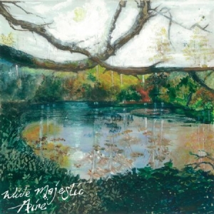 Trembling Bells - Wide Majestic Aire i gruppen CD hos Bengans Skivbutik AB (1874308)