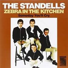 Standells The - Zebra In The Kitchen / Someday You' i gruppen VI TIPSER / Klassiska lablar / Sundazed / Sundazed Vinyl hos Bengans Skivbutik AB (1876426)