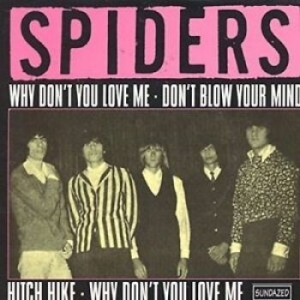 Spiders The - Why Don't You Love Me / Hitch Hike i gruppen VI TIPSER / Klassiska lablar / Sundazed / Sundazed Vinyl hos Bengans Skivbutik AB (1876471)