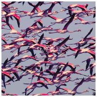 Deftones - Gore (Vinyl Ltd.) i gruppen Minishops / Deftones hos Bengans Skivbutik AB (1877202)