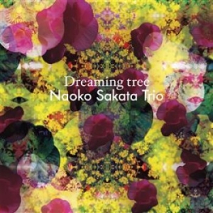 Nst - Naoko Sakata Trio - Dreaming Tree i gruppen CD hos Bengans Skivbutik AB (1877576)