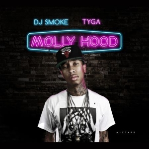 Tyga - Molly Hood Mixtape i gruppen CD hos Bengans Skivbutik AB (1877605)